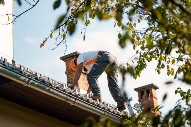 Roof Gutter Cleaning in Collinsville, VA