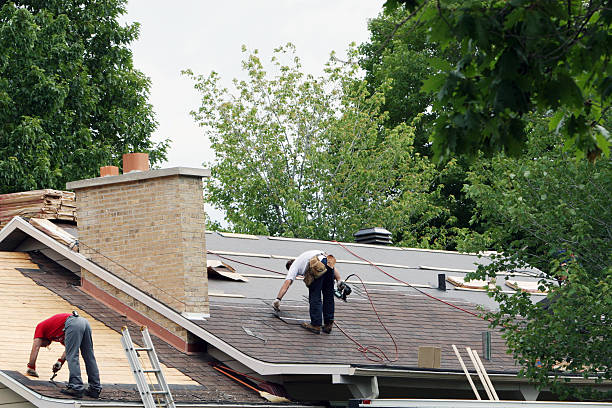 Best Storm Damage Roof Repair  in Collinsville, VA