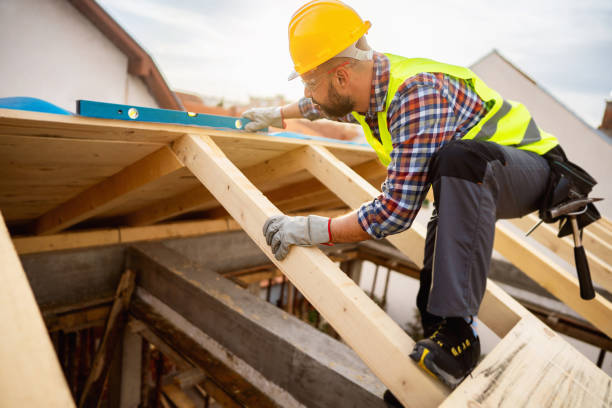 Best Roof Maintenance Services  in Collinsville, VA